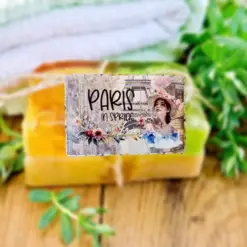 PARIS IN SPRING (PACK OF 6