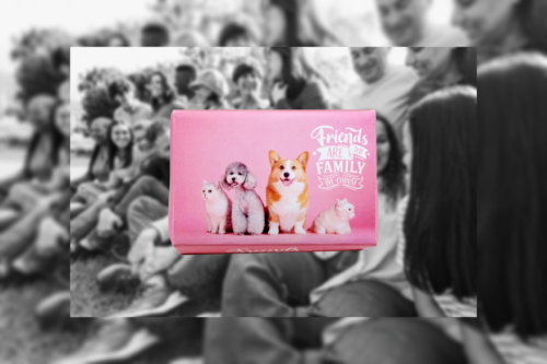 LIFE SOAP BAR (FRIENDS ARE THE FAMILY WE CHOOSE) French Pear Fragrance
