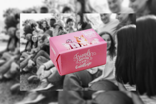 LIFE SOAP BAR (FRIENDS ARE THE FAMILY WE CHOOSE) French Pear Fragrance