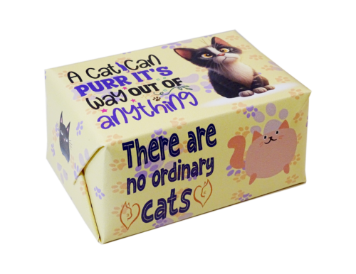 A CAT CAN PURR IT'S WAY OUT OF ANYTHING ( Coconut Lime Fragrance ) - Image 2
