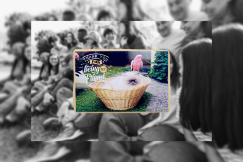 LIFE SOAP BAR (THANK YOU FOR BEING MY FRIEND) French Pear Fragrance