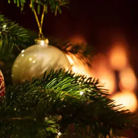 All Christmas Theme Range