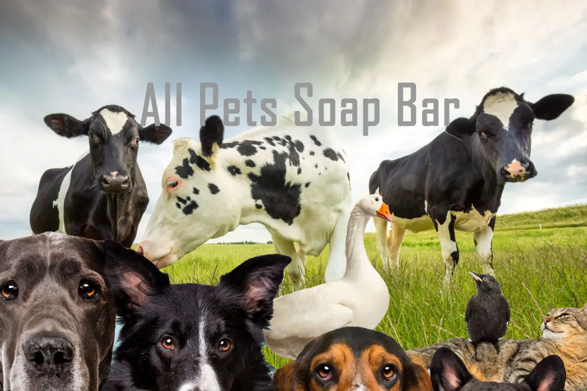 All Pets Soap Bar Range