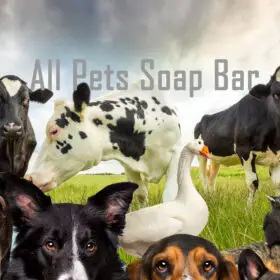 All Pets Soap Bar Range