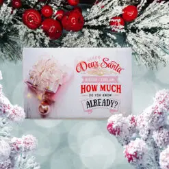 Christmas Funny Soaps